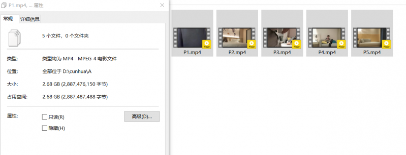 自我整理！几个探花约同一妹子5部【5v1.21G】【百度网盘】 – 6