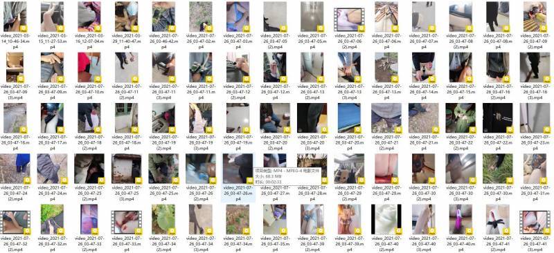 番茄社区-妖媚婷儿2021最全合集【171V/14.8G】