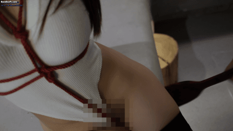 秀人网 鱼子酱闺蜜杏子 超大尺度剧情 绳艺SM 假鸡巴捅B 图 11