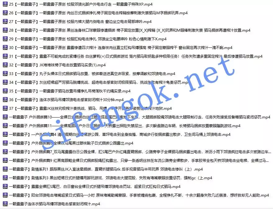 ⭐国产男娘⭐一颗露露子⭐电击 TK 榨精龟责 露出⭐33G/ 图 04